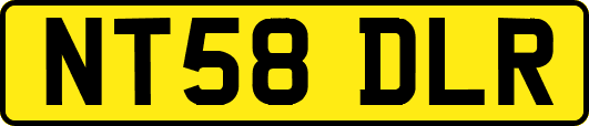 NT58DLR