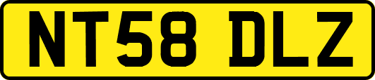 NT58DLZ