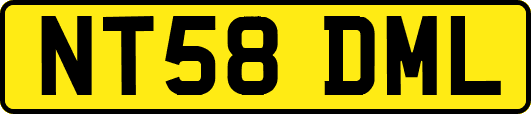 NT58DML