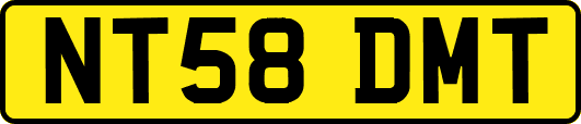 NT58DMT