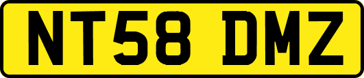 NT58DMZ