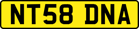 NT58DNA