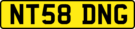 NT58DNG