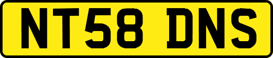 NT58DNS
