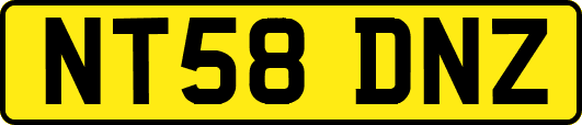 NT58DNZ