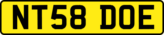 NT58DOE