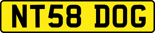 NT58DOG