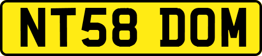 NT58DOM