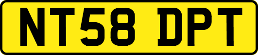 NT58DPT