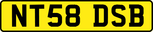 NT58DSB