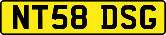 NT58DSG
