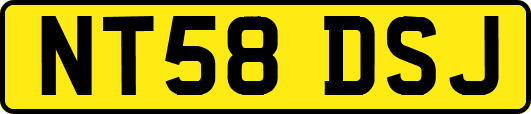 NT58DSJ