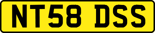 NT58DSS