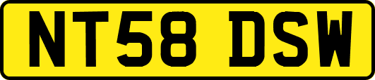NT58DSW