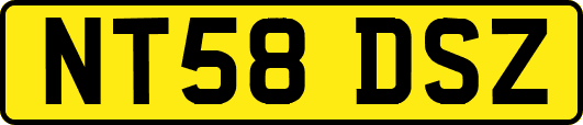 NT58DSZ