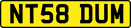 NT58DUM