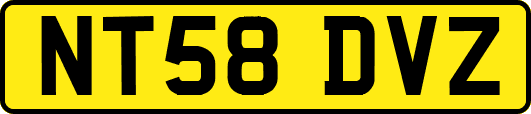NT58DVZ
