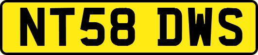 NT58DWS