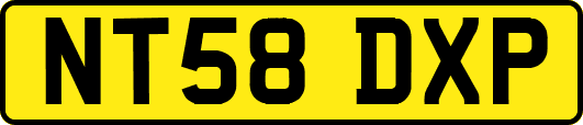 NT58DXP