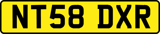 NT58DXR