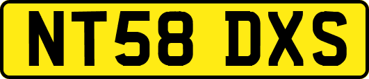 NT58DXS