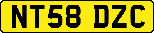 NT58DZC