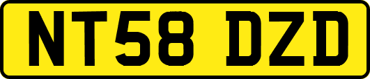 NT58DZD