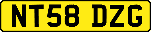 NT58DZG