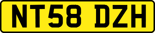 NT58DZH