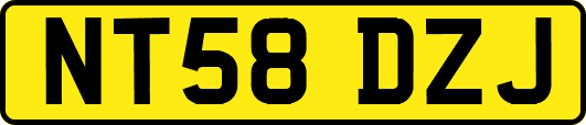 NT58DZJ