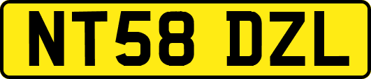 NT58DZL