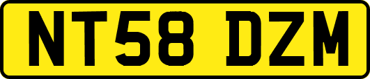 NT58DZM