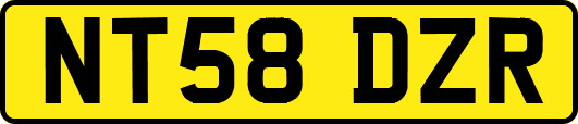 NT58DZR