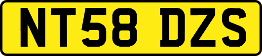 NT58DZS