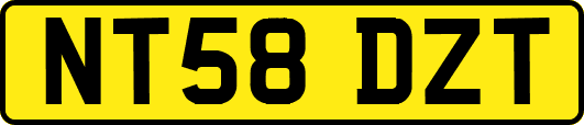 NT58DZT