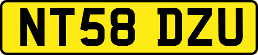 NT58DZU