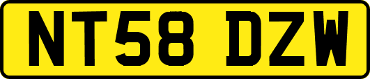 NT58DZW