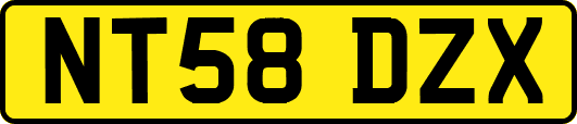 NT58DZX