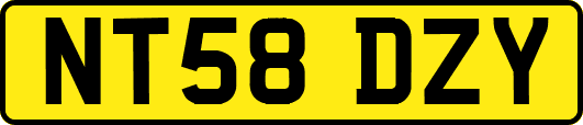 NT58DZY