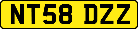 NT58DZZ