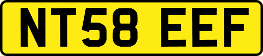NT58EEF