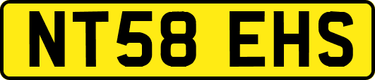 NT58EHS
