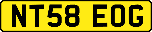 NT58EOG