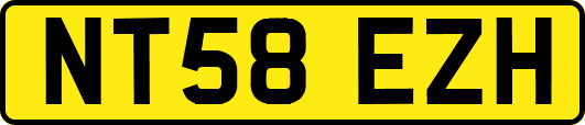 NT58EZH