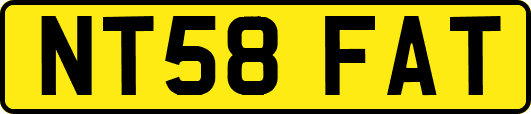 NT58FAT
