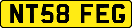 NT58FEG