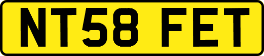 NT58FET
