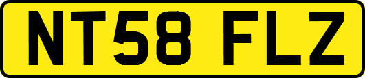 NT58FLZ