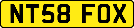 NT58FOX