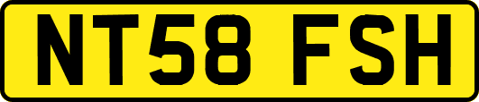 NT58FSH